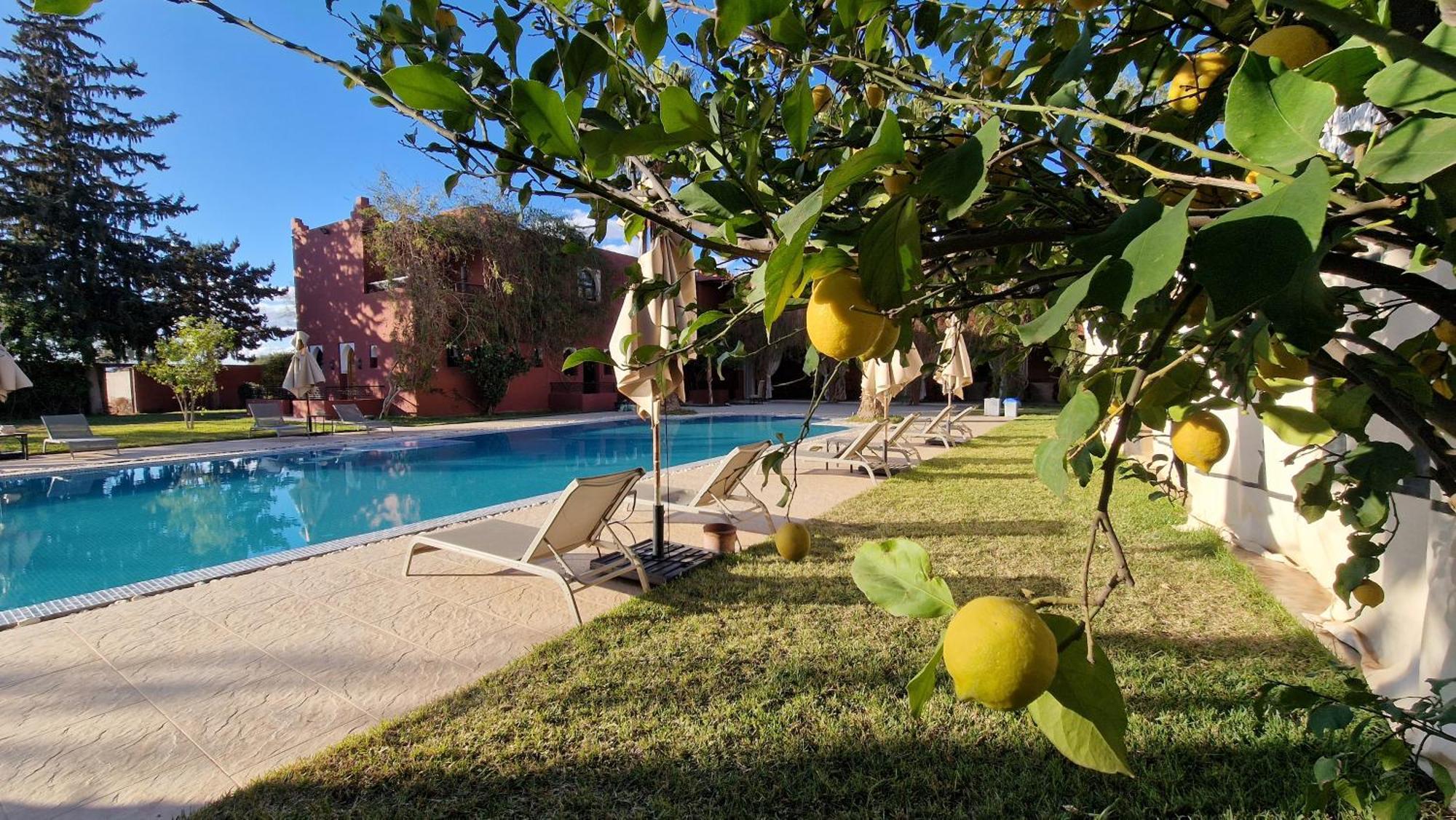 Palace Africa - Marrakech Palmeraie Dar Ilham Douar Blidene Eksteriør bilde